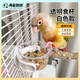 高能鸚鵡鸚鵡喂食器鳥(niǎo)食盒防濺喂水器小號食碗內掛新型喂鳥(niǎo)神器橫豎絲通用 透明食杯【白色】約7.2*9.5*5cm