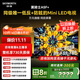 創(chuàng  )維電視黑騎士A5F+ 75英寸低反防眩Mini LED電視機75吋 液晶智能平板4k 游戲國家補貼 A5F Mini