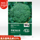壽禾 西蘭花種子種苗青花椰菜盆栽蔬菜種籽 齊松西蘭花種子200粒/袋*2