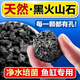 創(chuàng  )寧魚(yú)缸底砂火山巖顆粒造景裝飾沙石頭烏龜濾材鋪底專(zhuān)用水草泥火山石