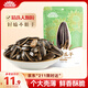 MAOKE毛嗑原味瓜子葵花籽大顆粒宿舍網(wǎng)紅休閑零食小吃恰恰500g大包裝