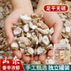 愛蜀味山奈80g 罐裝  無硫熏三奈 沙姜香料大料 鹵菜香辛料
