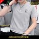 JASONWOOD高檔品牌冰絲男士短袖t恤印花上衣服夏季男裝2026新款體恤衫 高檔灰色【現貨速達】 XL 建議【115至130斤】