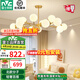 雷士（NVC）北歐輕奢魔豆分子網(wǎng)紅led客廳燈餐廳燈臥室燈吊燈燈具全屋燈飾 明珠 15頭吊燈【帶5.5瓦光源】