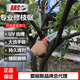 愛麗斯（ARS）UV-32EN 修枝鋸果樹鋸園林鋸 伐木鋸大手鋸園藝工具手鋸子