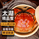 【活蟹】湖塘煙雨 太湖大閘蟹六月黃2.9-3.2兩8只鮮活螃蟹現貨水產(chǎn)禮盒海鮮源頭直發(fā)