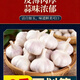 山東農家大蒜新鮮干蒜紫白皮大蒜頭自家大蒜種蒼山產(chǎn)地新大蒜蔬菜 5斤4.5cm以上中大果（箱重）手工優(yōu)選，壞果包賠
