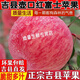 桃西村  山西吉縣壺口蘋(píng)果瀑布紅富士蘋(píng)果冰糖心新鮮水果孕婦脆甜蘋(píng)果 80mm(含)-85mm(不含) 5斤