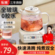 養生壺煮茶器燉煮一體煮茶壺燒水壺全玻璃迷你小型一人恒溫壺 1.5L  全玻璃水壺【快速沸騰】
