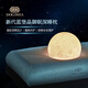 DoloMiA記憶枕頭睡眠深度睡眠趴睡枕新代藍堡晶御眠深睡枕頸椎病成人專(zhuān)用 皇家白標準款 單只 【60*40*10CM】