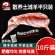 公羊半只羊羊羔肉羊肉新鮮灘羊肉整只羊排中秋送禮盒 【土灘羊半只切塊】10斤順豐