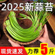 2025現貨脆嫩細蒜苔農家新鮮短蒜苔紅帽蒜薹嫩蒜苔新鮮當應季蔬菜 5斤