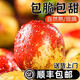冬棗新鮮5斤現摘正宗山東沾化原產(chǎn)地直銷(xiāo)整箱禮盒冬棗特大果包郵 5斤 【精選大果】順豐包郵 | 甘甜酥脆