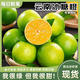 閩農(nóng)語(yǔ)果新鮮云南高山冰糖橙整箱當(dāng)季新鮮水果青皮甜橙新鮮柑橘青皮冰糖橙 【單果60-75mm丨凈重4.5斤】超值裝