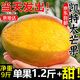 京地達攀枝花凱特芒果 9斤巨無(wú)霸650g+ 香甜無(wú)絲現摘水果源頭直發(fā)包郵
