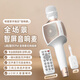 TIPDOER話(huà)筒音響一體麥克風(fēng)自帶聲卡【K歌推薦】音響麥家庭ktv音響套裝卡拉OK歌無(wú)線(xiàn)藍牙唱歌錄歌家用戶(hù)外 巨聲版【60W大功率】豪華款 新款推薦