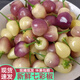 半畝莊園廣西七彩椒新鮮五彩椒蔬菜 辣椒 五色椒現(xiàn)摘現(xiàn)發(fā)五色椒農(nóng)產(chǎn)品泡椒 2斤