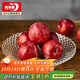 青蘋(píng)果玻璃果盤(pán)輕奢家用客廳裝飾婚慶零食水果沙拉碗10.3英寸