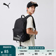 彪馬（PUMA）戶外通勤旅行學院風學生雙肩背包男女拉鏈口袋書包079943 黑色-煙灰色-49 OSFA