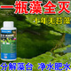 藻臺清除劑去青苔綠藻絲藻藍藻綠水褐藻黑毛藻免換水不傷魚(yú)滅藻劑 1瓶【一瓶藻全滅】?jì)羲仕? title=