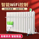 維森美取暖器/電暖氣/電暖器/加水暖氣片家用水暖注水節(jié)能省電加熱器歐式快熱爐掛墻電暖氣 18柱wifi智能款【18-20平】