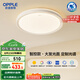歐普（OPPLE）吸頂燈智控調(diào)光LED照明燈具全光譜智慧光圓臥包安裝 品見4白