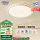 歐普（OPPLE）48瓦吸頂燈客廳臥室燈簡約護眼智控調(diào)光LED燈具18㎡品見III包安裝