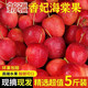 正宗新疆伊犁香妃海棠果當季新鮮水果脆甜雞心果整箱小蘋(píng)果冰糖心 5斤