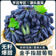 亨迅山西金手指葡萄藍寶石黑加倫提子新鮮水果生鮮 精品果凈重4斤裝