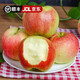 果陸園JD送貨上門(mén)紅富士蘋(píng)果新鮮水果當季整箱現摘早熟冰糖心富士小蘋(píng)果 整箱5斤精選70-90MM凈4.5斤