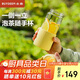 北鼎（Buydeem）茶水分離玻璃水杯高顏值車(chē)載便攜隨手杯辦公室泡茶杯鵝仔黃470ml