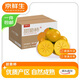 京鮮生 山西陽豐脆柿甜柿 凈重4.5-5斤 單果110g-130g 中秋禮品源頭直發(fā)