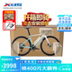 喜德盛（xds）公路自行車(chē)AD350單盤(pán)12速碳叉碳座桿油碟桶軸功率計(jì)進(jìn)階車(chē) 25款-流光青 【整車(chē)安裝】 480mm (身高165-175cm)