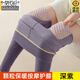 莫代爾石墨烯加長(cháng)護膝保暖褲女冬季內穿加厚高腰大碼緊身東北特厚打底褲 2條：深紫 +深紫 【石墨烯加長(cháng)護膝】 3XL 130-160斤