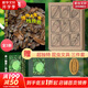 博物大發(fā)現(xiàn) 找找看 禮盒裝 昆蟲(chóng)記動(dòng)物大百科自然昆蟲(chóng)觀(guān)察筆記 無(wú)窮小亮張辰亮唐志遠(yuǎn) 高清精美昆蟲(chóng)大片 最美的法布爾昆蟲(chóng)記 超大開(kāi)本 6-12歲中小學(xué)生兒童科普暑期閱讀 新華正版 【專(zhuān)屬文具三件套】博物