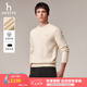 哈吉斯（HAZZYS）男裝 秋冬款羊毛衫男簡(jiǎn)約素凈圓領(lǐng)針織男毛衣ABYZD0CCX57 米黃色OW XL （180/100A 50）