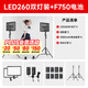 神牛LEDP260C補(bǔ)光燈 攝影攝像燈大屏輕便無線遙控主播直播打光燈可調(diào)色溫柔光燈 雙燈裝+750電池套裝