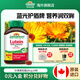 健美生（Jamieson）葉黃素膠囊20mg/粒 45粒玉米黃質(zhì)護(hù)眼緩解眼疲勞 海外進(jìn)口 【葉黃素20mg】45粒/瓶
