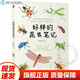 【現(xiàn)貨速發(fā)】官方正版 好樣的昆蟲筆記 倪皓洋著 6-14歲兒童科普漫畫書 觀蟲記錄福建少年兒童出版社
