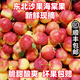 果木島【順豐上門】東北特產(chǎn)海棠果k9沙果現(xiàn)摘黃太平123小蘋果應(yīng)季水果 5斤 【順豐上門】