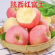 陜西紅富士蘋(píng)果新鮮水果當季整箱包郵脆甜丑蘋(píng)果早熟非洛川紅富士 凈重2.5斤（8枚左右）
