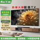 4K 王牌【家電補(bǔ)貼40%】120英寸巨幕大屏超清4K液晶電視機(jī)無線投屏智能語音網(wǎng)絡(luò)平板家用客廳防爆會(huì)議辦公 65LED【防爆智能版】長(zhǎng)98cm高58cm