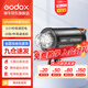 神牛（Godox） 閃客QT600III三代影室高速閃光燈600W攝影燈連拍頻閃快速回電影棚補光燈 QT600III標配 官方標配
