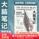 后浪官方正版 大腦筆記 神經(jīng)系統涂色學(xué)習手冊重現解剖學(xué)教授經(jīng)典課堂 神經(jīng)系統醫學(xué)腦科涂色練習書(shū)籍