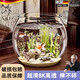 JCZS德國品牌圓形魚(yú)缸客廳一體成型防摔高清透彷玻璃塑料小型桌面生態(tài) 【中號】加厚超清8K高透 久用不糊/摔不碎