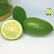 檬可夏 【檸檬精選大果】海南香水檸檬人工挑選大果皮比汁香奶茶專(zhuān)用 嘗鮮小果【1斤裝】單果50g+