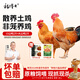 楊博士皖南散養(yǎng)土雞2只 凈重3.6斤 整雞(大公雞+仔公雞)含雞胗源頭直發(fā)