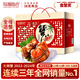 【活蟹】陽澄聯(lián)合鮮活大閘蟹現(xiàn)貨 全母2.5-2.8兩10只 螃蟹去繩足重海鮮禮盒源頭直發(fā)