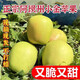 正宗小金蘋(píng)果四川阿壩州特產(chǎn)孕婦水果酸甜酥脆2025新鮮采摘青蘋(píng)果 9斤