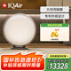IQAir空氣凈化器除甲醛除菌除貓狗過(guò)敏原智能 原裝進(jìn)口 Atem X CF 瑞士設計 德國制造